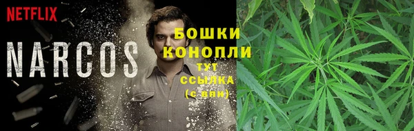 герыч Осинники