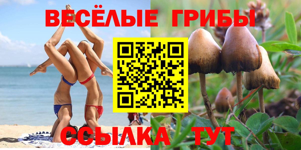 Галлюциногенные грибы MAGIC MUSHROOMS Серов