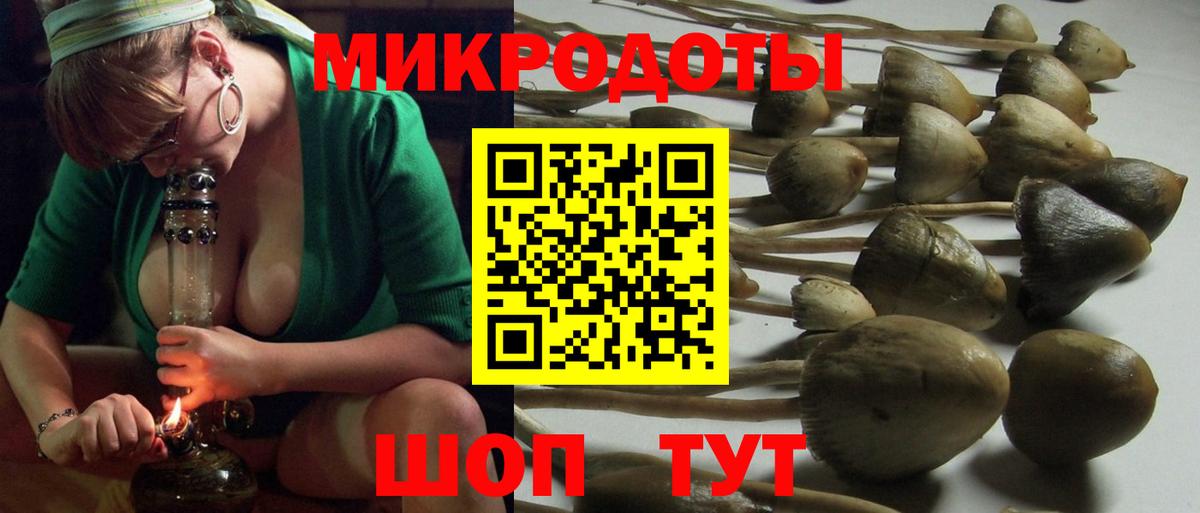 Галлюциногенные грибы Cubensis  Галлюциногенные грибы Magic Shrooms  Вход с VPN  Серов 